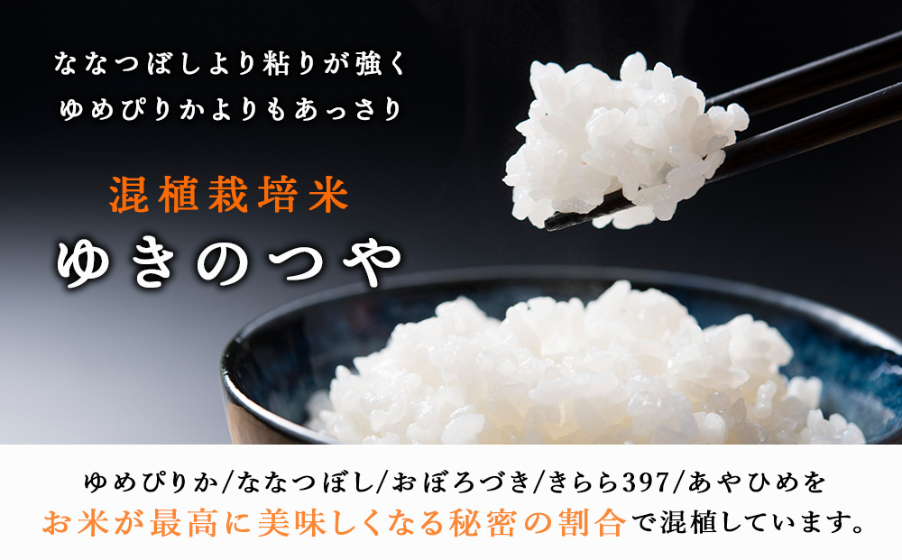 北斗米ゆきのつや5kg 柳沼 やぎぬま 東神楽 北海道