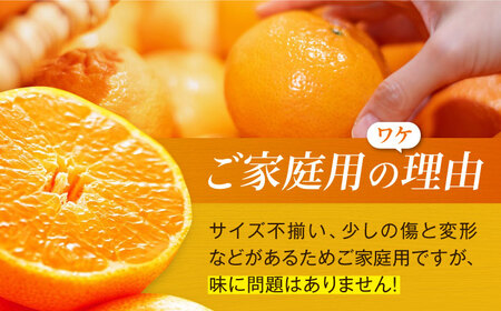 【訳あり】【先行予約】【2025年1月下旬から順次発送】甘平 2kg 愛媛県大洲市/西村農園 みかん ミカン えひめ かんぺい 柑橘[AGDC004]