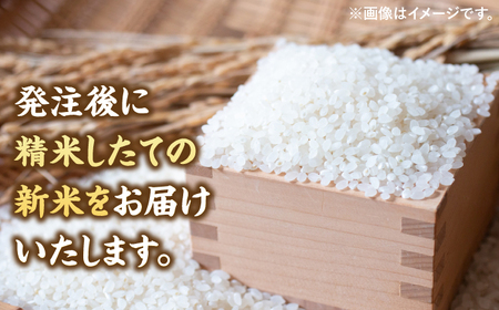 【先行受付】【2024年11月以降発送】令和6年度 福岡県桂川町産夢つくし　白米（玄米10kgを発注後精米してお届け！）  桂川町/一般社団法人地域商社いいバイ桂川[ADBB004]