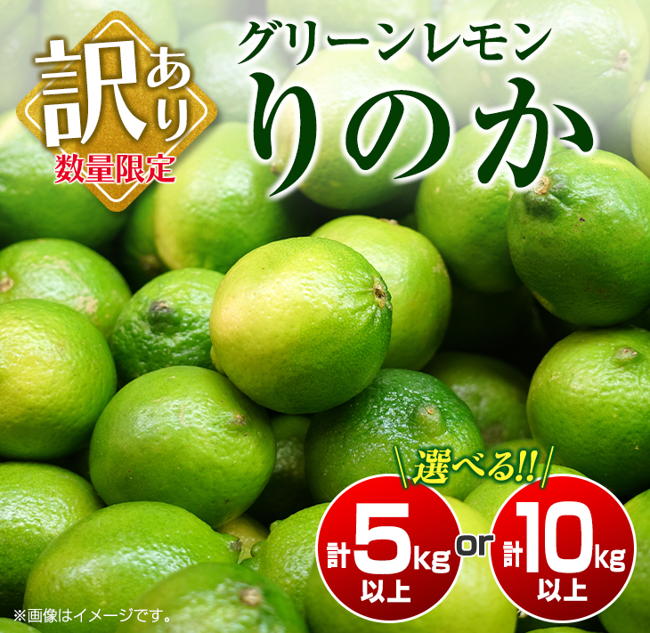 ≪内容量が選べる≫訳あり 数量限定 グリーンレモン りのか 5kg 10kg 期間限定 フルーツ 果物 くだもの 柑橘 レモン 檸檬 レモンティ レモネード 国産 食品 デザート_S-A88-23