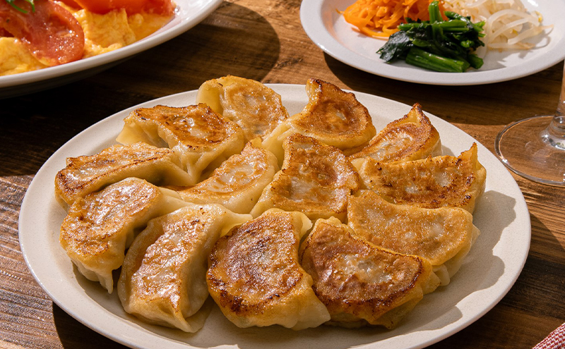 【かみふらのポーク 使用】 手包み ふらの餃子 20個入 業務用 ジャンボ サイズ 中華 冷凍 即席 食品 簡単 加工品 調理不要 おかず 手作り ふらの 北海道 上富良野町 北の恵