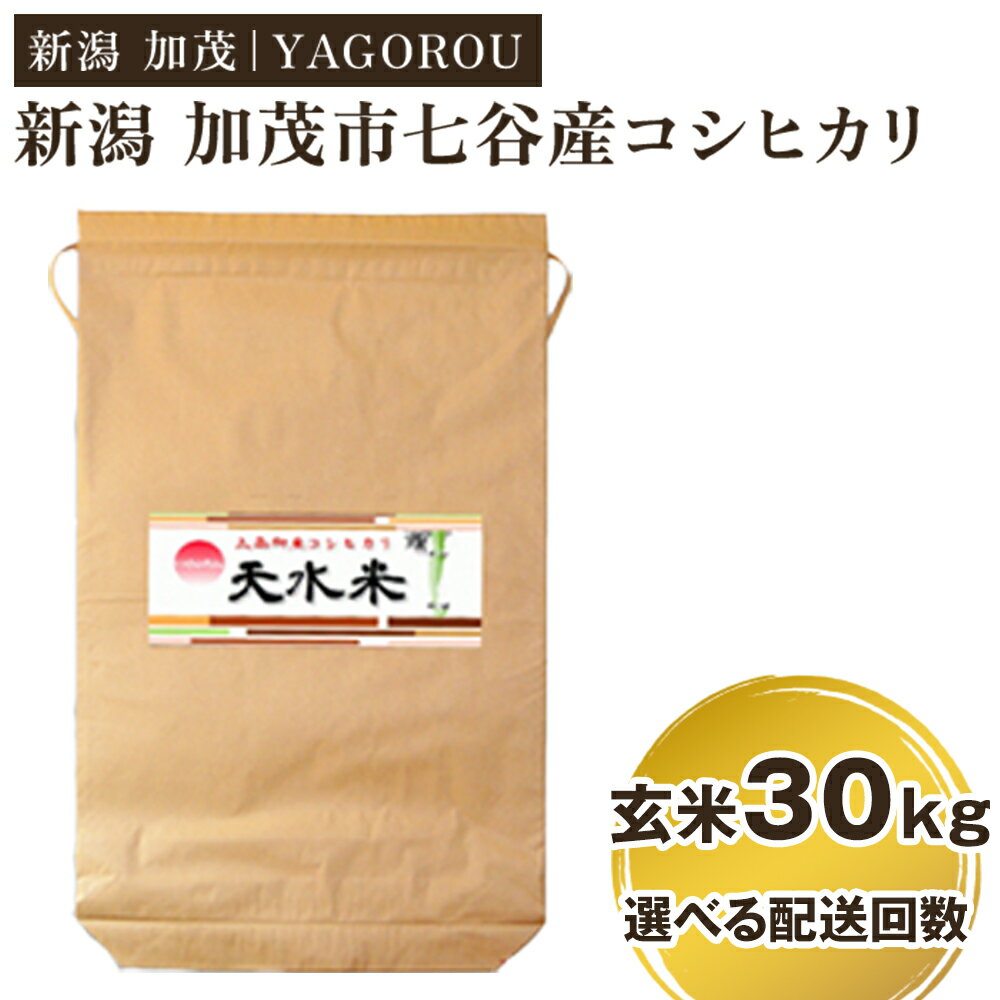 【ふるさと納税】【令和7年産新米先行予約】新潟県加茂市 七谷産コシヒカリ 玄米30kg 選べる配送回数（通常配送1回or定期便3回）《10月中旬～順次発送》 新潟産コシヒカリ 豊かな山水で育った天水米 加茂市 YAGOROU ヤゴロウ