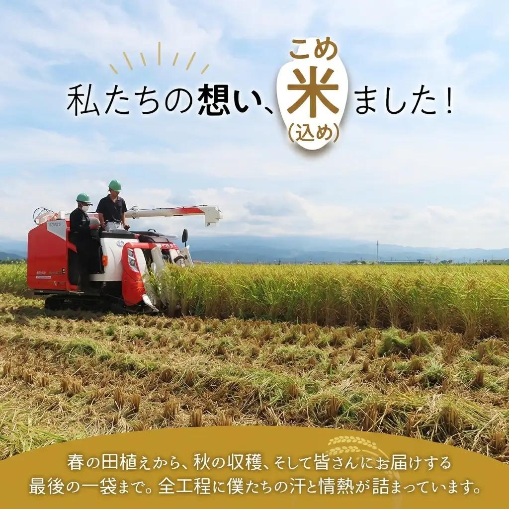 【未来の農業者を応援】高田農業高校の生徒が育てた「高農米」 令和7年産 特別栽培米 こしいぶき 5kg 5キロ 新潟県産 上越市