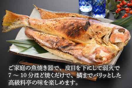 【加福鮮魚】若狭ぐじ 一汐開き 1尾 800g　甘鯛 タイ アカアマダイ 焼き魚 高級[C-015003]