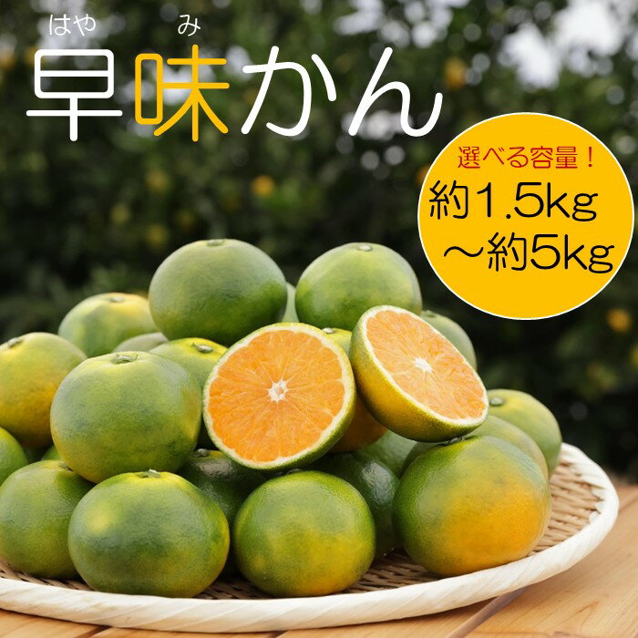 【ふるさと納税】【予約受付・期間限定商品】早味かん（1.5kg～5kg程度）2026年9月〜10月配送（選べる容量）【早味かん】
