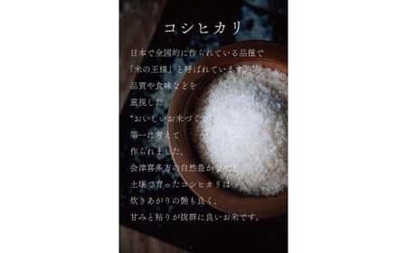 【令和7年産】会津喜多方産コシヒカリ5kg×2袋　【07208-0272】