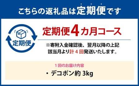 【年4回定期便】 デコポン約3kg （8～12玉入り）×4回 （計約12kg） 【2026年12月上旬発送開始】 でこぽん 果物 くだもの フルーツ 果実 果汁 定期便 年4回 贈り物 熊本県 熊本県