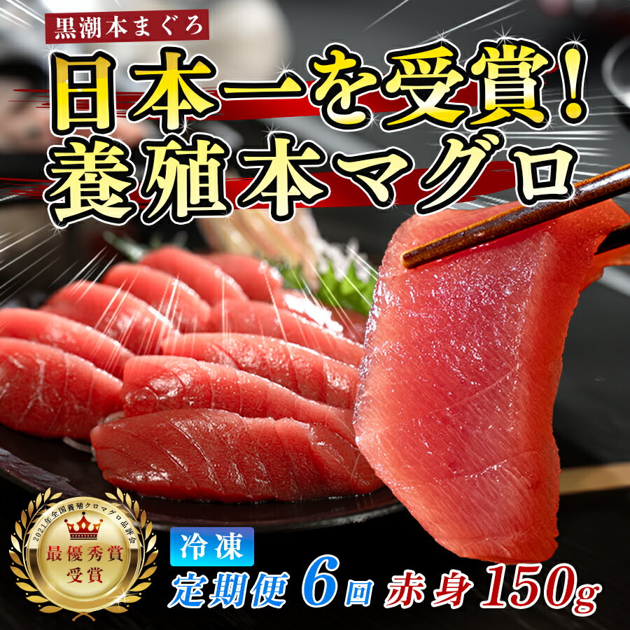 【ふるさと納税】まぐろ マグロ 本鮪 黒潮本まぐろ 赤身 定期便 6回 150g × 6回 刺身 さしみ 最優秀賞 全国養殖クロマグロ品評会 受賞 魚 魚介類 海鮮 柵 サク 冷凍 お取り寄せ 産地直送 ギフト 贈答 高知県 大月町
