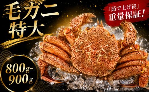 姫丸の毛ガニ・特大 茹で上げ800ｇ～900ｇ 1杯 2026年 9月 - 10月 発送