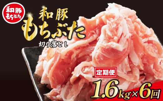 【定期便】 豚肉 切り落とし 和豚 もちぶた 小間切れ 1.6kg ×6回 ブランド豚 和豚もちぶた ブランド 美味しい豚 豚肉 肉 にく 肉料理 夕食 晩ごはん ポーク おかず 小分け 便利 肉の片山 新潟県 新発田市 katayama012
