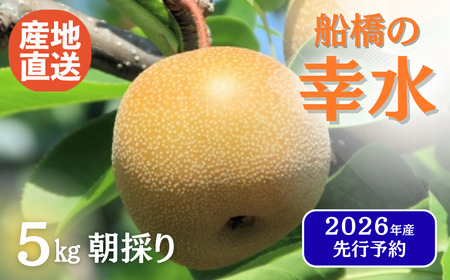 【2026年産】船橋のなし「幸水」（い志い農園）