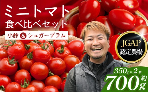 
                  【先行予約・2026年12月より順次発送】ミニトマト２種食べ比べセット(350g×２種) GP-3｜数量限定 ミニトマト 野菜 やさい 食品 人気 おすすめ 美味しい 産地直送 小鈴 シュガープラム 食べ比べ セット 鹿児島県 南大隅町 根占グリーンプラネット
                