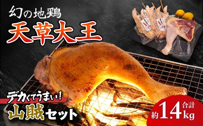 
                  天草大王【山賊セット】幻の鶏 キャンプ BBQ 骨付き もも肉 約800g!! 大手羽先 3本×2セット / 熊本 鶏 鶏肉 手羽先 もも 骨付き肉 手羽先 冷凍 肉セット 【くまもと食彩の力】[AYAN035]
                