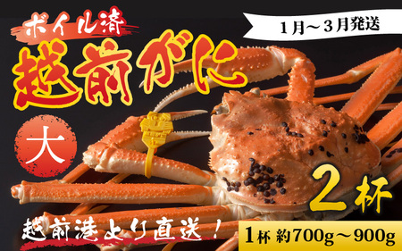 【先行予約】越前港より直送！ 越前がに 大 (約700g～900g) 2杯 ※発送前に在宅確認の電話連絡をいたします!【1月～3月発送予定】  海鮮  ボイル 