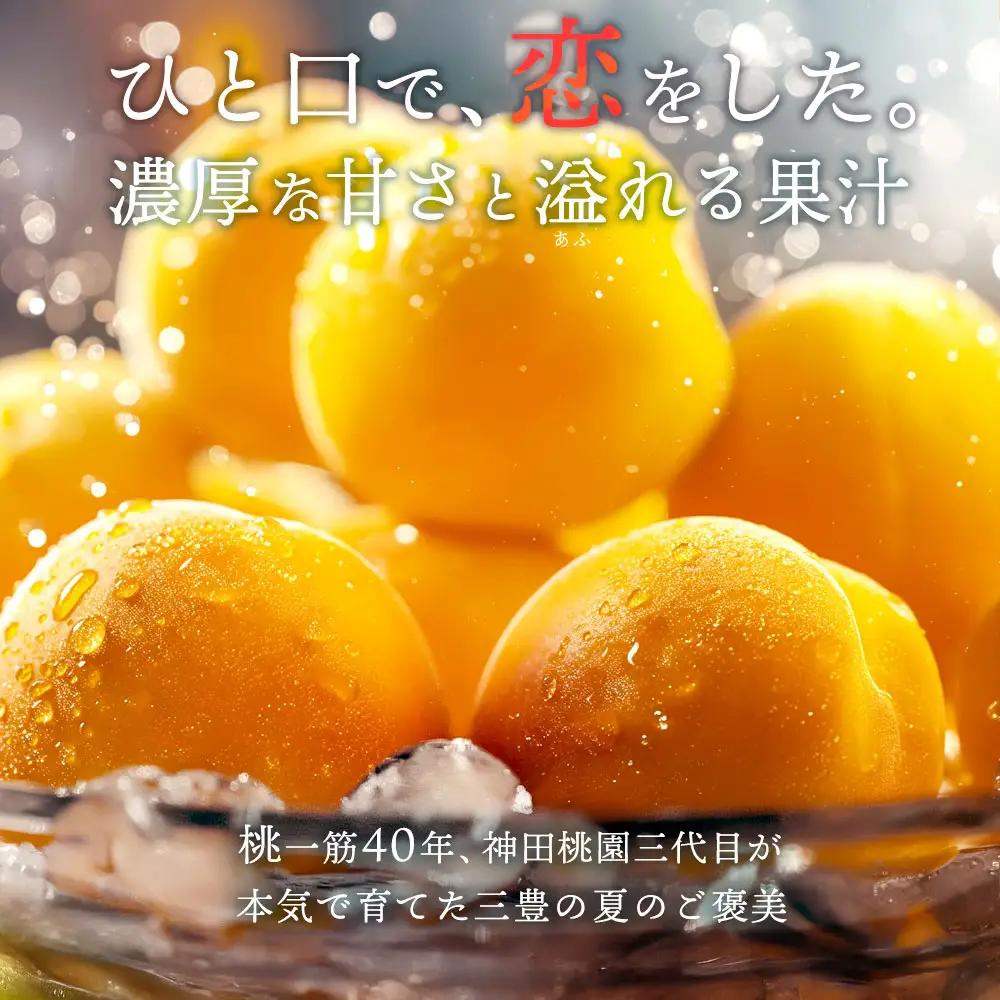 【ふるさと納税】 桃 産地直送 「神田桃園の黄桃」 約3kg  [ フルーツ 名産品 桃 もも モモ 黄桃 果物 くだもの お取り寄せグルメ 三豊市 20000 20, 返礼品 神田桃園 ] ※配送不