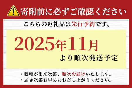 田淵さんちの美味しいミニトマト小鈴 2kg（1.0kg×2箱）