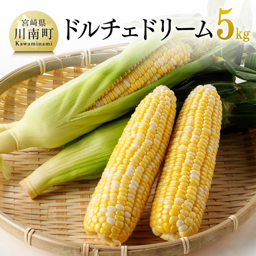 【令和8年発送】宮崎県産とうもろこし　朝どれ！守部さんちのドルチェドリーム5kg 先行予約 数量限定 期間限定 とうもろこし スイートコーン トウモロコシ スィートコーン 令和8年発送