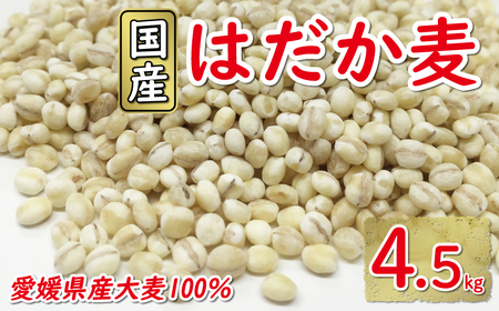 はだか麦 900g × 5 はだか 麦