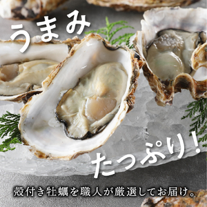 【先行予約】【2026年1月から順次発送】矢野水産 フレッシュギフト 海からそのまま殻付き牡蠣13個～15個 ku014-003-25