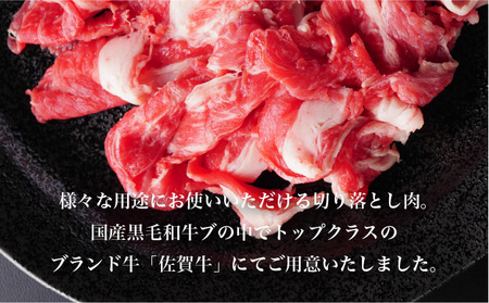 佐賀牛プチ贅沢セット ハンバーグ150g×6個・切り落とし500g