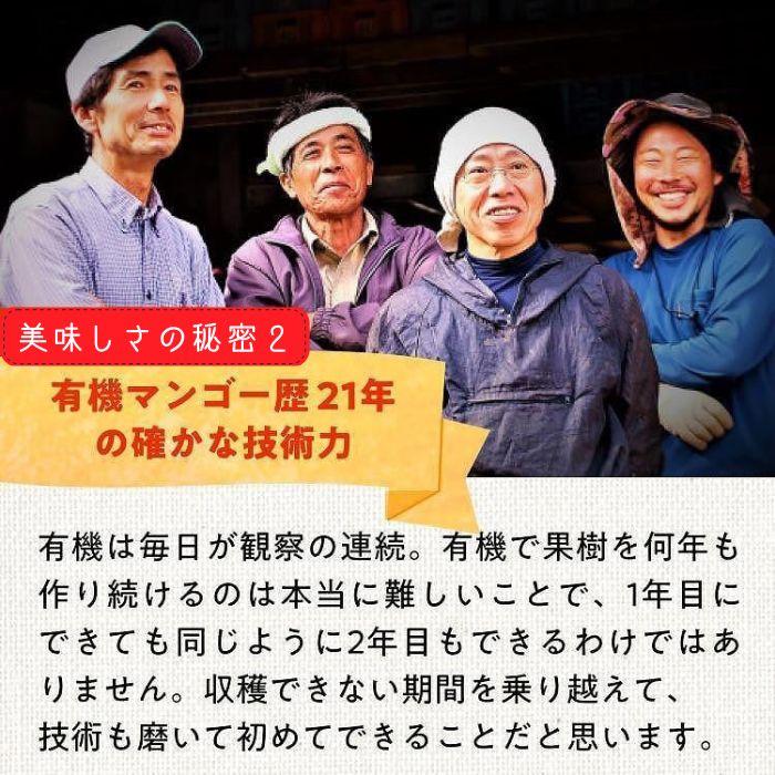 DQ019《先行予約》2026年発送 有機JAS認証マンゴー（アーウィン）ご自宅用 4kg【楽園の果実】