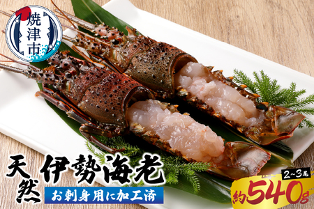 伊勢海老 お造りセット お刺身用に加工済 (a30-171)