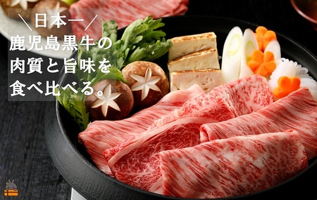 《和牛日本一獲得》5等級 これが!!鹿児島黒牛 2種の部位を食べ比べる「すき焼き」（カタロース300g＆ウデスライス300g) ( 5等級 黒牛 黒毛和牛 牛肉 日本一 全国和牛能力共進会 徳之島 奄