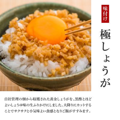 ふるさと納税 芸西村 味付け極しょうが　110g×1袋【SNS016】 |  | 01