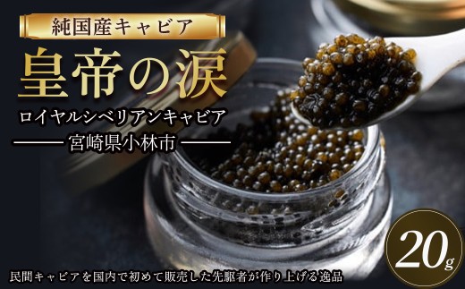 【純国産キャビア】ロイヤルシベリアンキャビア 20g 皇帝の涙 国産 チョウザメ 魚卵 宮崎県