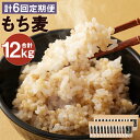 【ふるさと納税】【定期便6回】熊本県産 もち麦 合計12kg 2kg×6回 大麦 ダイシモチ モチ麦 食物繊維 令和2年産 九州産 国産 送料無料 【入金確認後の翌月以降、奇数月にお届け】