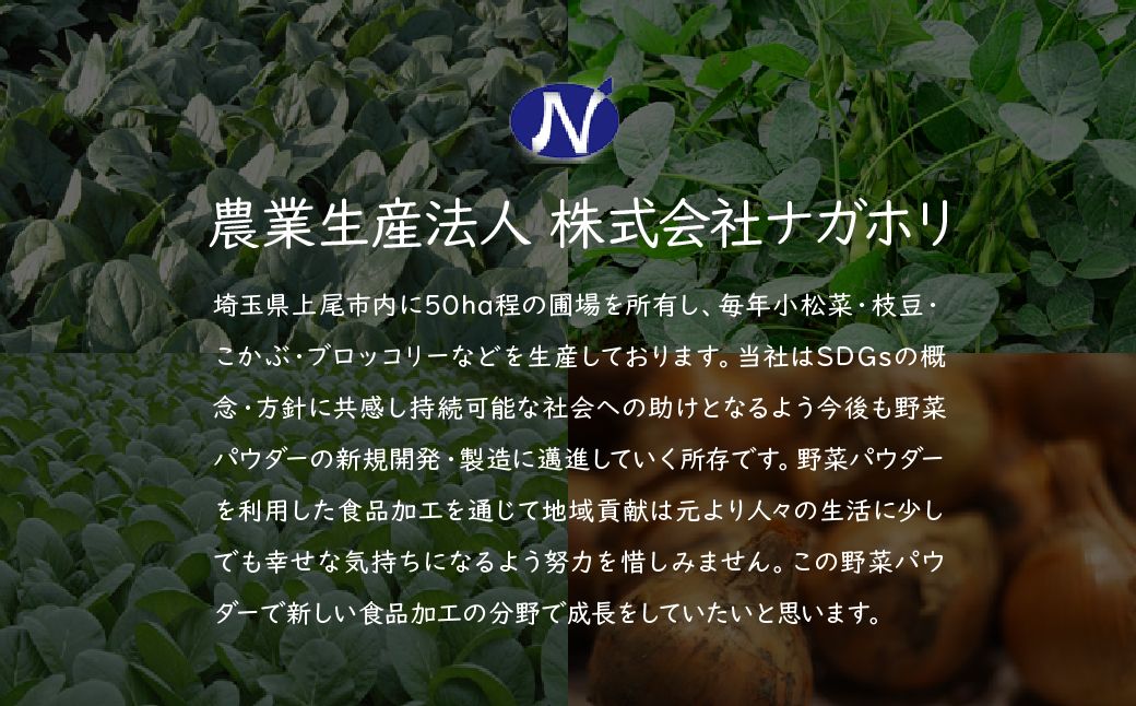 【3種】ナガホリの野菜パウダー 3袋 1袋 100g 小松菜 枝豆 さつまいも