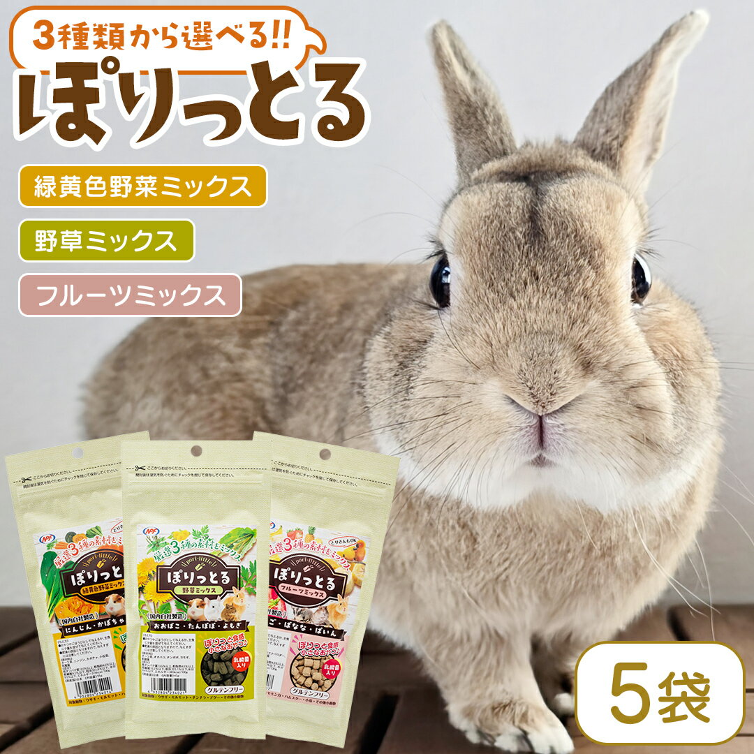 【ふるさと納税】選べる ぽりっとる（フルーツミックス・緑黄色野菜ミックス・野草ミックス）× 5袋 合計275g 野菜 小麦不使用のグルテンフリー 乳酸菌 小動物用フード ペットフード おやつ