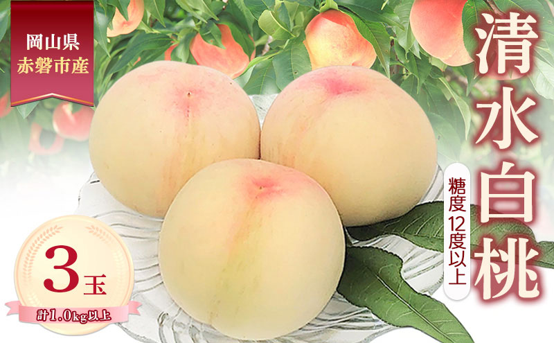 桃 2026年 数量限定 清水白桃 糖度12度以上 3玉 計1.0kg以上 岡山県 赤磐市産