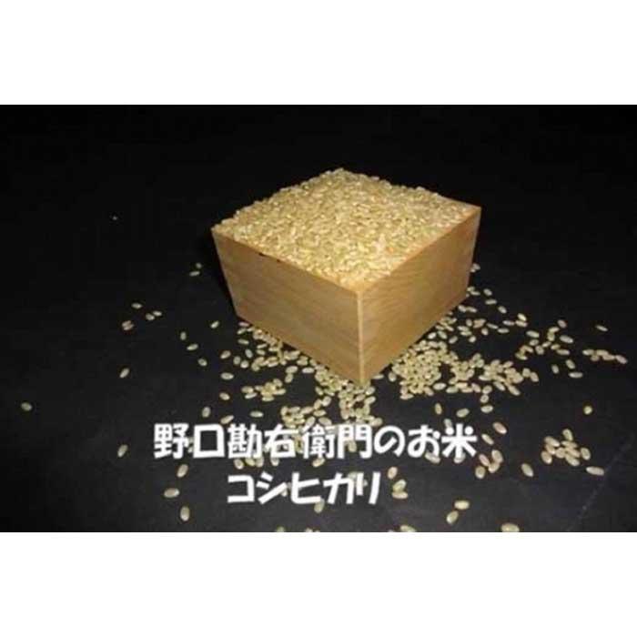 【ふるさと納税】【7年産】野口勘右衛門のお米「安心栽培米（コシヒカリ）」玄米20kg(10kg×2)