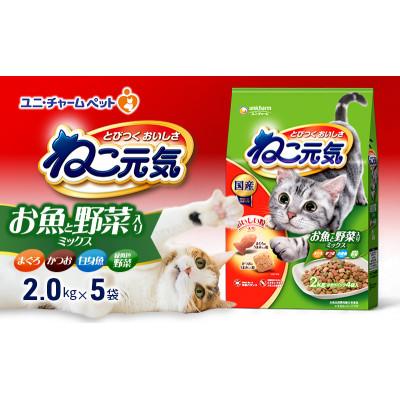 ふるさと納税 伊丹市 ねこ元気 お魚と野菜入りミックス まぐろ・かつお・白身魚・緑黄色野菜入り[54030474]