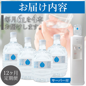 四国カルスト天然水ぞっこん 定期便（毎月6L×4本 1年間）サーバー付