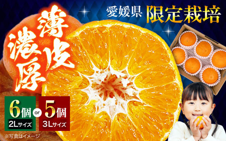 甘平（5-6個）【2026年2月上旬から順次発送】甘平（5から6個）かんぺい [AGBA005]