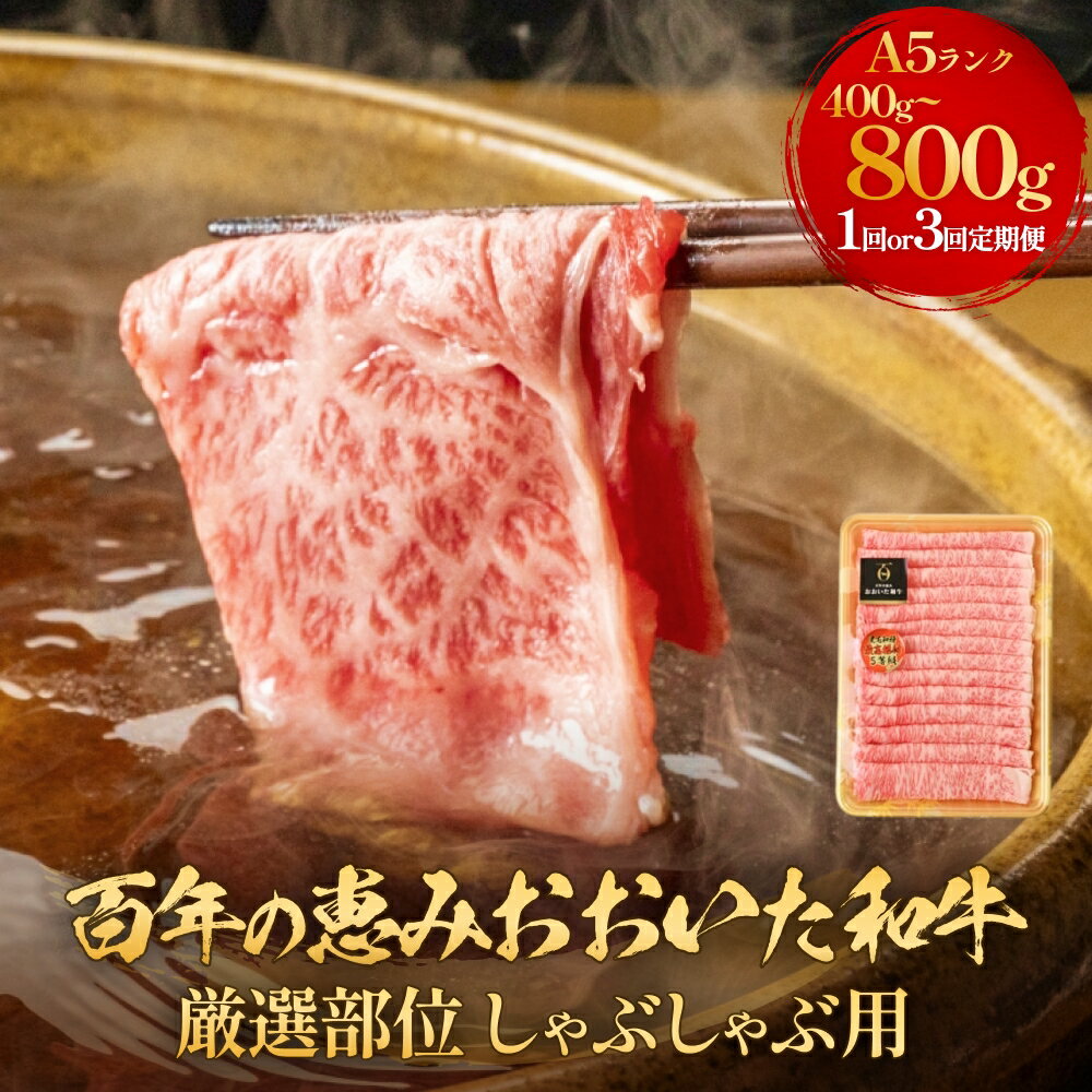 【ふるさと納税】 おおいた和牛 百年の恵み しゃぶしゃぶ 400g~800g お肉 定期便 黒毛和牛 A5 等級 A5肉 牛ロース 牛肩ロース 黒毛和牛a5ランク しゃぶしゃぶ用 牛肉 和牛 牛しゃぶしゃぶ 牛しゃぶ 牛肩ローススライス 肩ロース もも 肩 部位 霜降り 脂肪 九州 食材 豊後牛