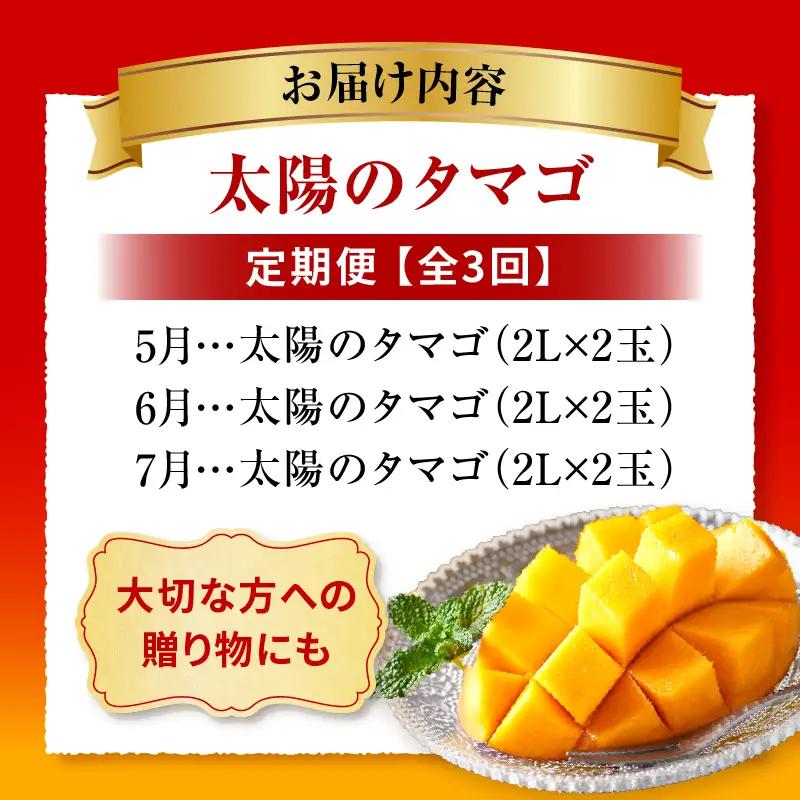 マンゴー 太陽のタマゴ 定期便 マンゴー[全3回 2027年発送先行予約 数量・期間限定]