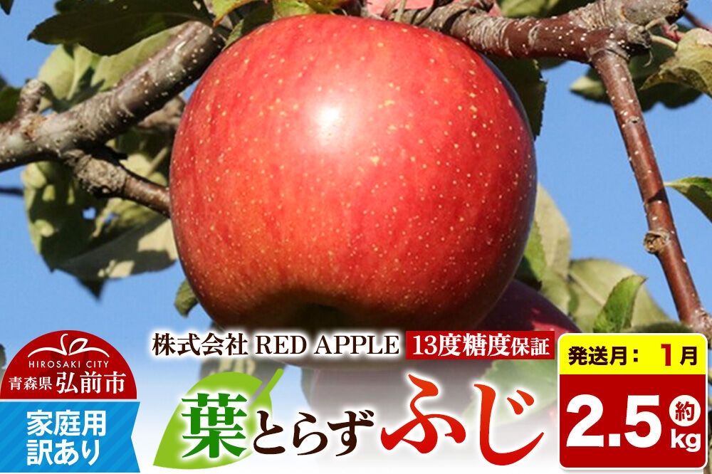 
                  【27年1月発送】りんご 13度糖度保証【訳あり】家庭用 葉とらずふじ 約5kg 先行受付 [アップル おいしい ふじ りんご 果実 果物 赤色 糖度 美味 葉っぱ 葉とらず 林檎]
                