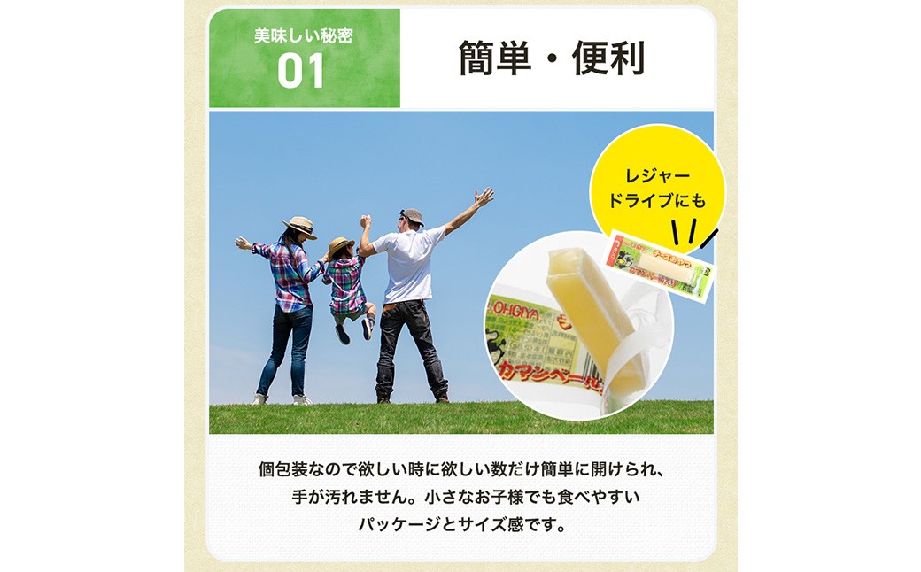 【6ヶ月定期便】濃厚チーズの一口チーズおやつ個包装 約300g×1袋【えひめの町（超）推し！（松前町）】