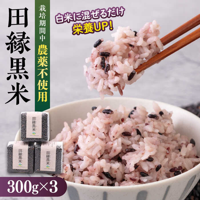 【ふるさと納税】田縁黒米（でんえんくろまい）300g×3パック 糸島市 / NPO法人田縁プロジェクト[ATM003] 古代米 黒米 常温 11000円