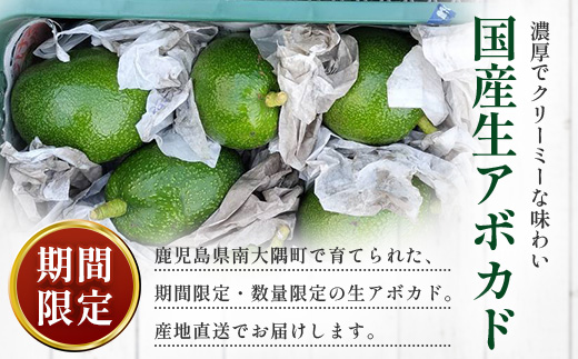 【期間限定・数量限定】 2026年11月より順次発送予定 南大隅町産 生アボカド 約1kg （4品種から2種以上おまかせ）SG-2｜ 産地直送 国産 アボカド 新鮮 森のバター 希少 鹿児島県産 本土