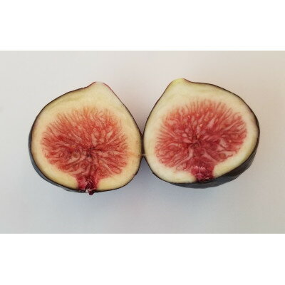 【ふるさと納税】【数量限定!】ご家庭用いちじく詰合せ(サイズ混合)　約1kg【配送不可地域：離島・北海道・沖縄県・東北・信越、北陸】【1692246】