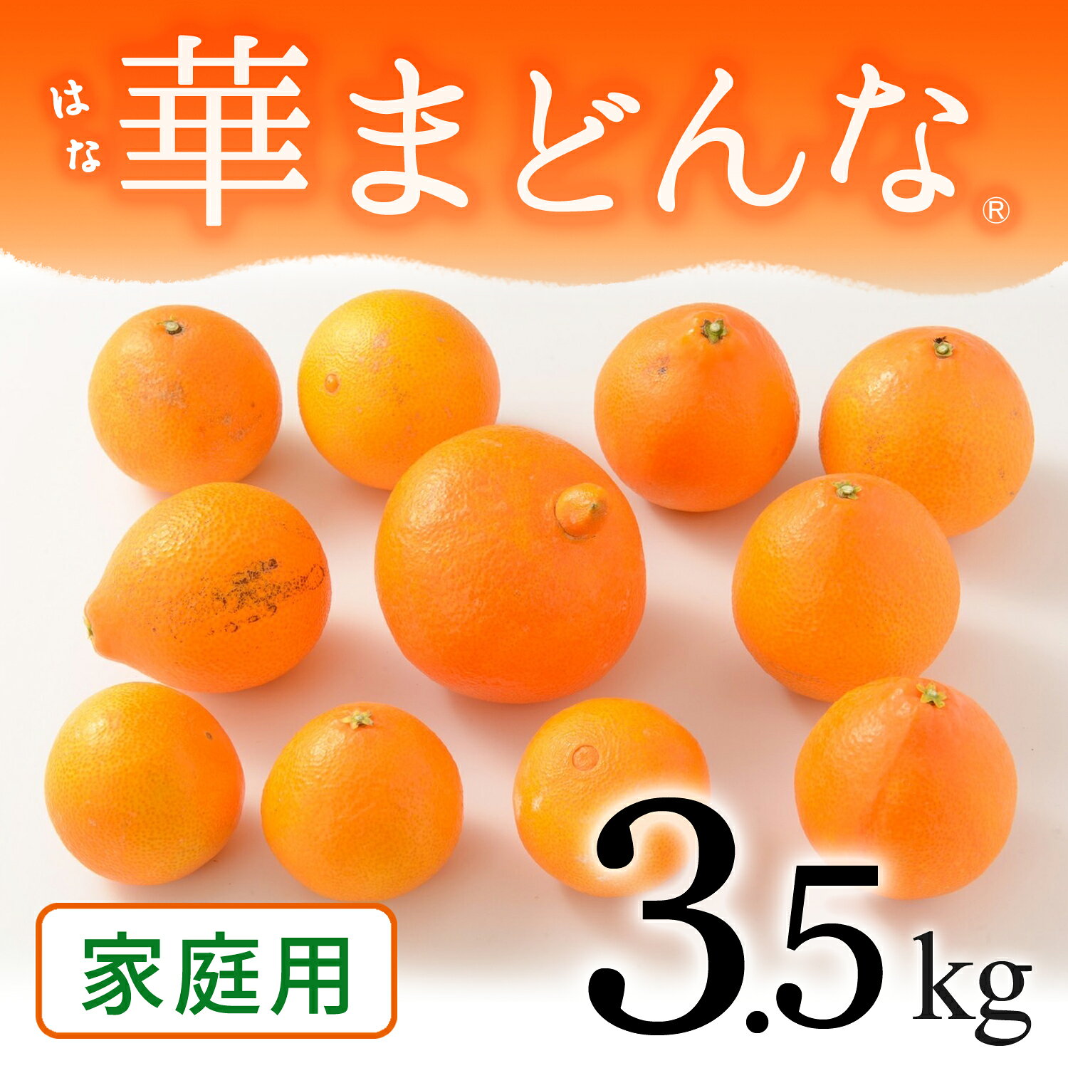 【ふるさと納税】【先行受付】コウ果樹園「華まどんな」家庭用3.5kg【33-51】ふるさと納税 みかん ミカン 蜜柑 まどんな 愛媛 えひめ 果物 くだもの フルーツ デザート おいしい かんきつ 柑橘 柑橘類 国産 愛媛県 八幡浜市 家庭用 YWTG033