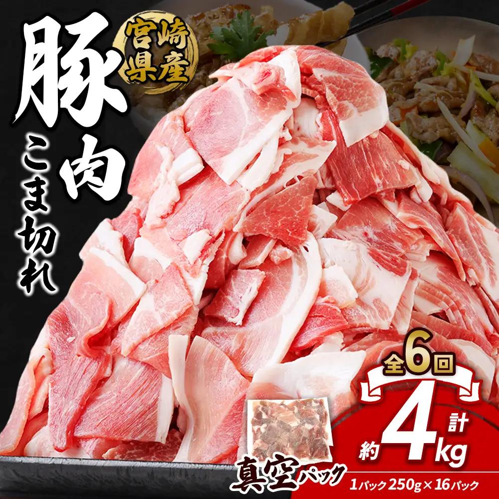 定期便 6回お届け 宮崎県産 いもこ豚 小間切れ 4kg (250g×16パック) 真空パック 小分け 豚肉 えびの市