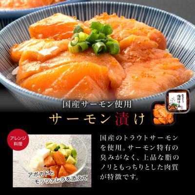 ふるさと納税 福井市 海鮮漬け丼の具 福井サーモン / 120g×2パック(2〜4食分) |  | 01