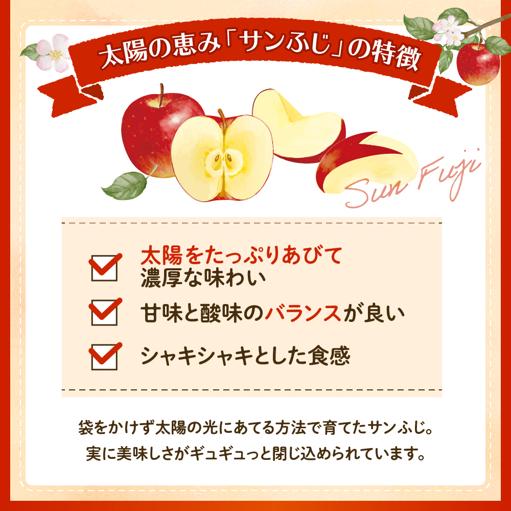 【2025年産 先行予約】りんご「サンふじ」10kg JA提供 山形県 東根市　hi003-139-2_イメージ4
