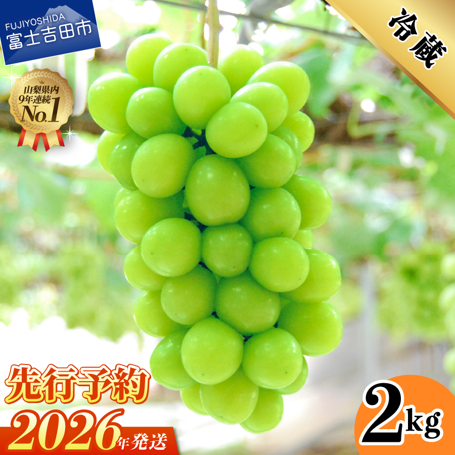 【2026年発送 先行予約】山梨県産シャインマスカット2kg(3～5房)