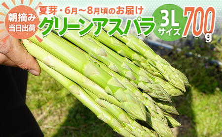 先行予約 アスパラ 3Lサイズ 700g 朝採り 直送 夏芽 グリーンアスパラガス 数量限定 朝採れ 【2025年6月から8月お届け】 BT05